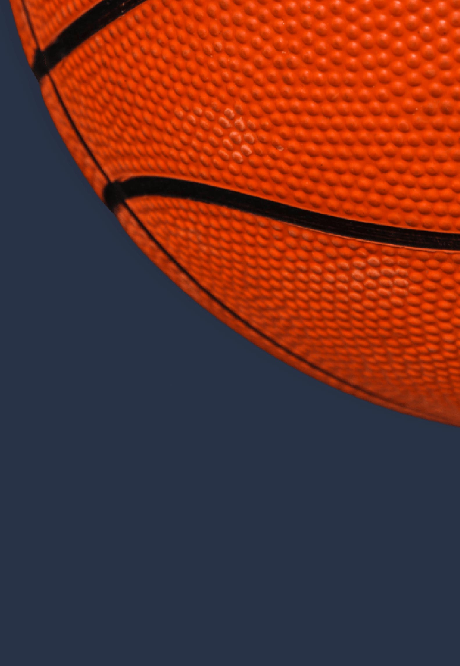 Noise and Bias Header 